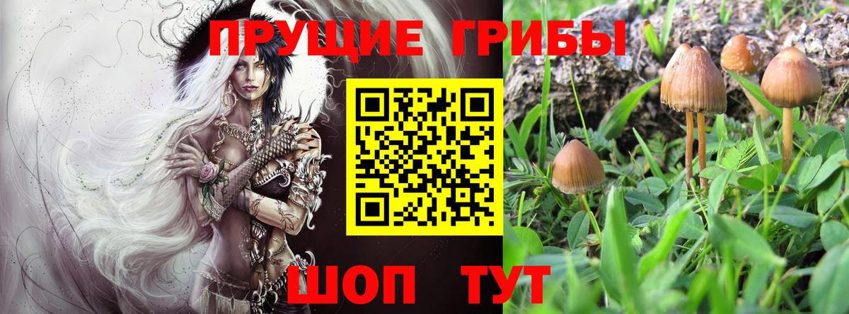 Псилоцибиновые грибы мицелий  Псилоцибиновые грибы мухоморы  Вход с VPN  Усть-Илимск 